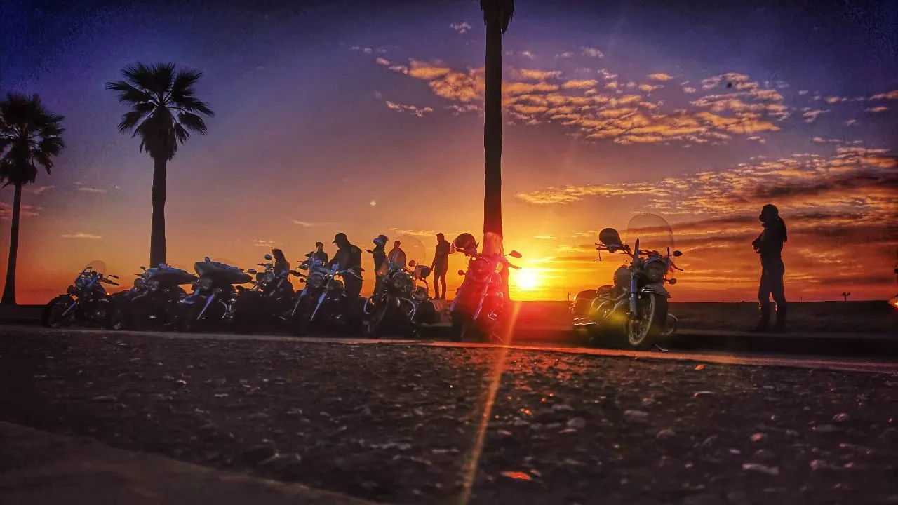 夕景の道に並ぶRAYS OF ARIONのメンバーと愛車